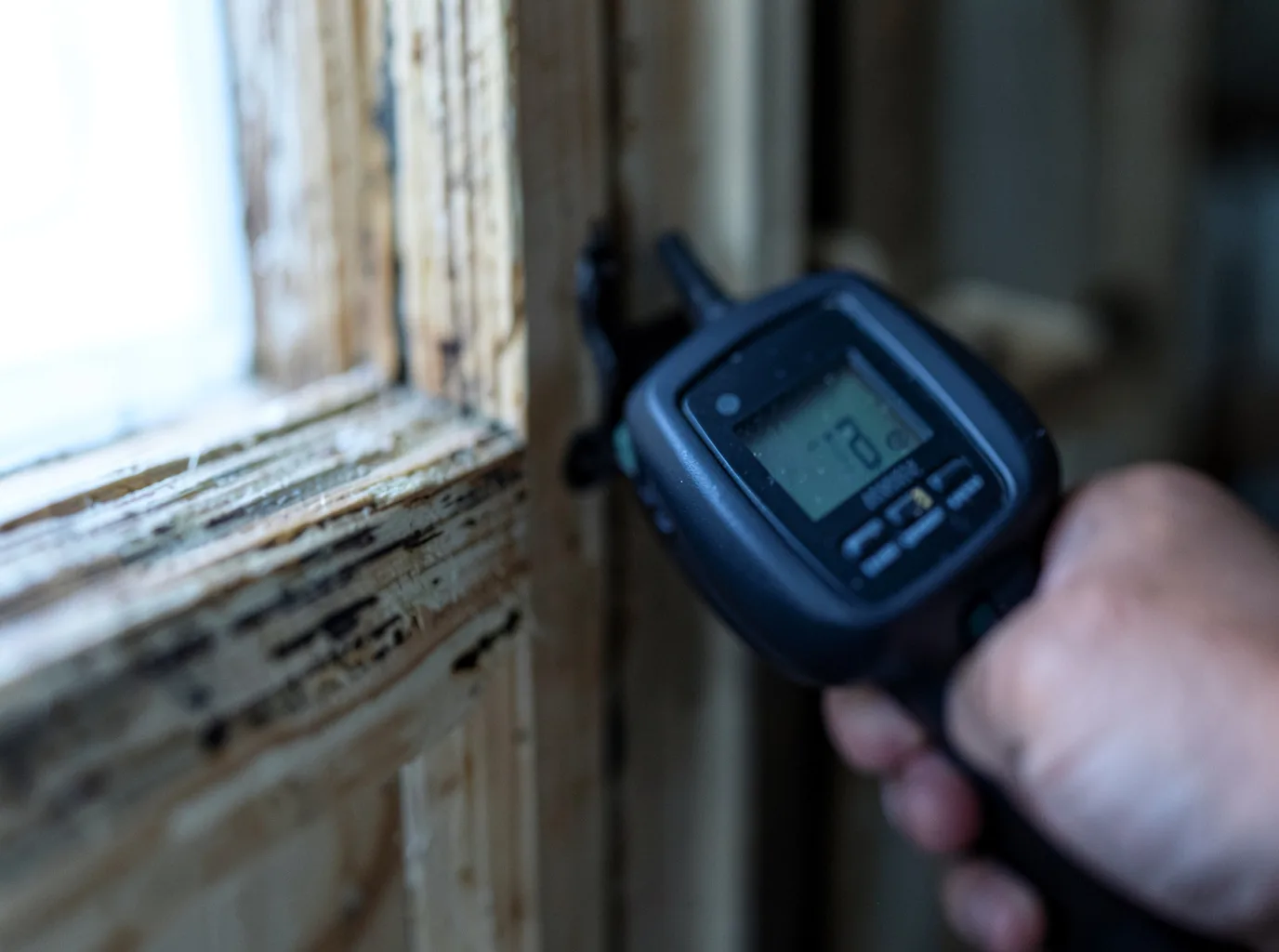 Moisture Inspection And Documentation in Virgilina, VA